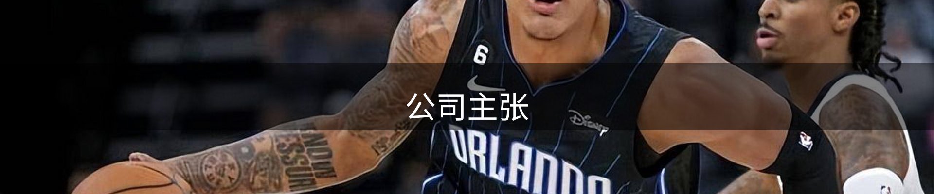 公司主张