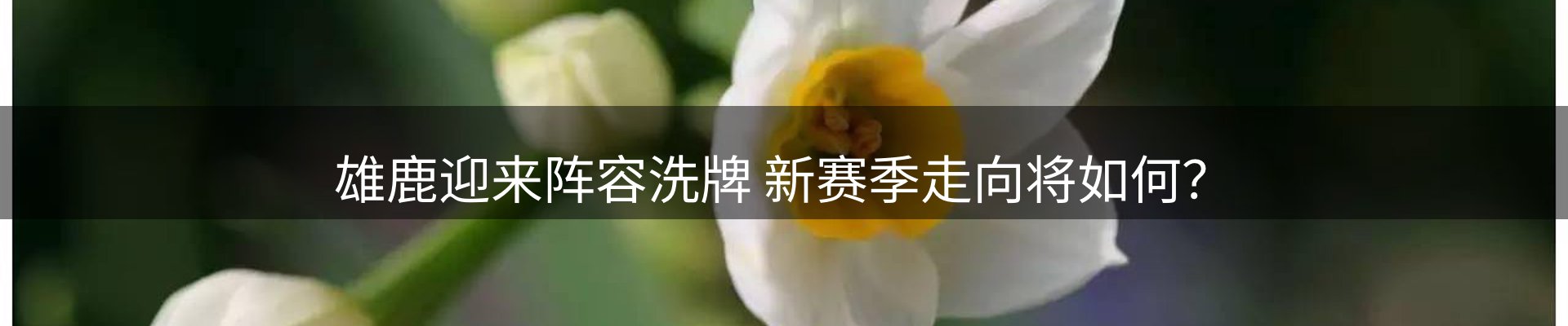 市场观察